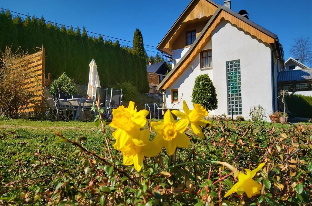 Ingreen House Bohinjska Bela Exterior photo