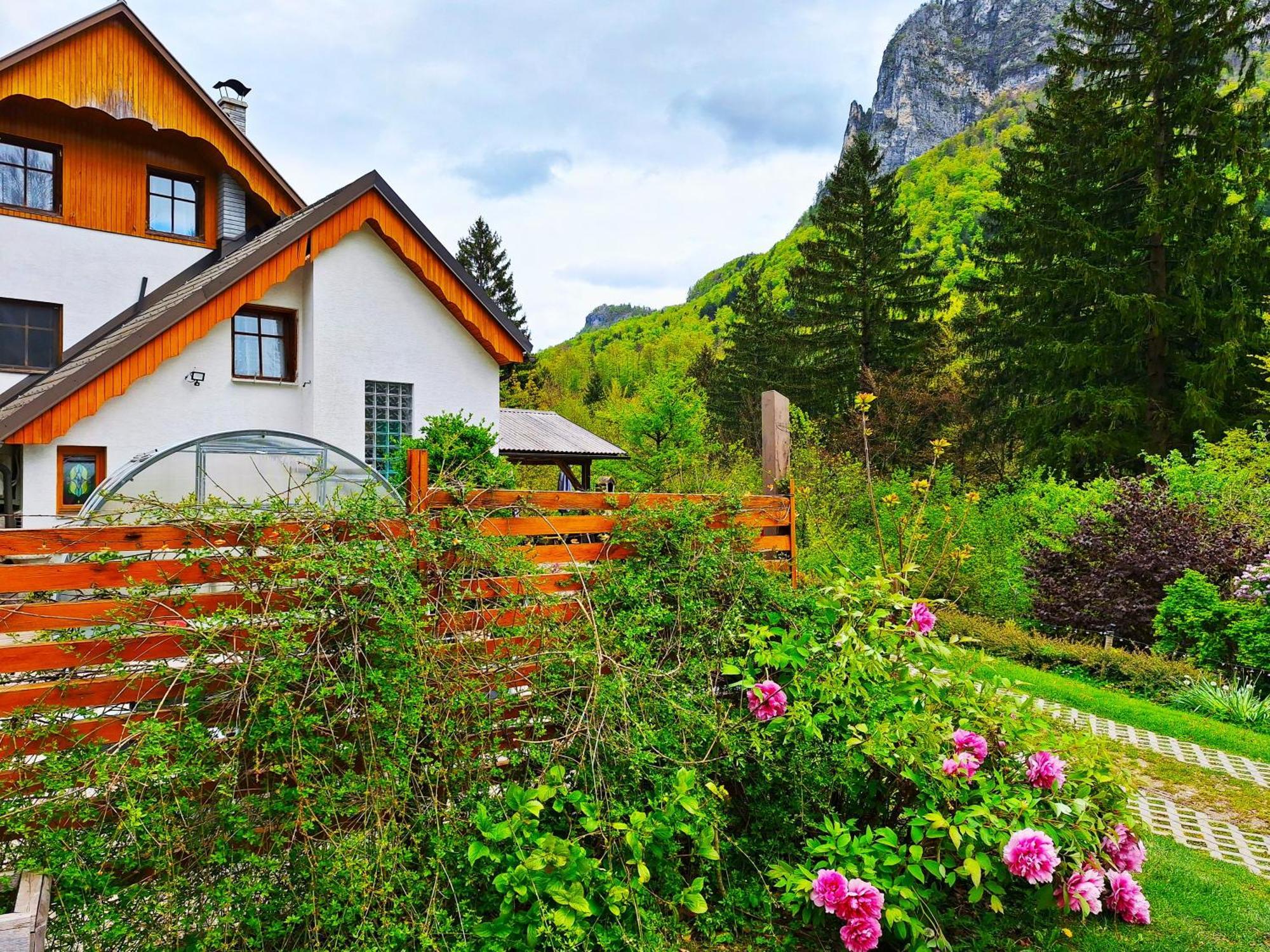 Ingreen House Bohinjska Bela Exterior photo