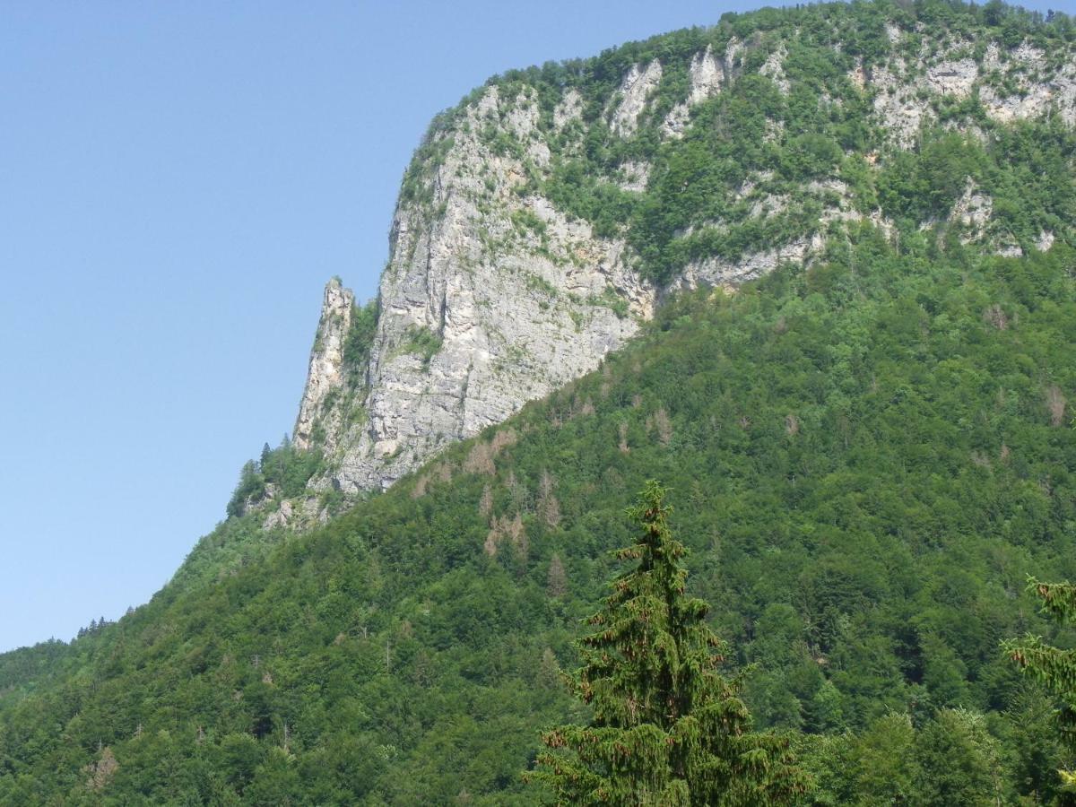 Ingreen House Bohinjska Bela Exterior photo